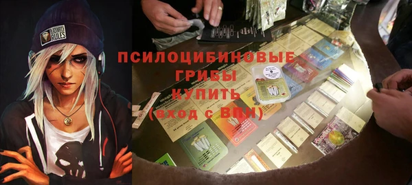 бошки Верея
