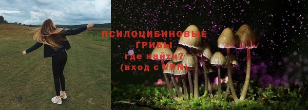 бошки Верея